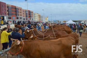 Los Llanos de Telde, en el día grande de sus fiestas patronales de 2019 (Foto Francisco Javier Santana)